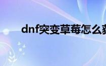 dnf突变草莓怎么获得(dnf变异草莓)