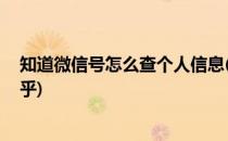 知道微信号怎么查个人信息(知道微信号怎么查个人信息 知乎)