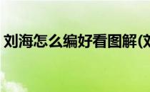 刘海怎么编好看图解(刘海怎么编好看图解法)