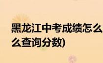 黑龙江中考成绩怎么查询(黑龙江中考成绩怎么查询分数)