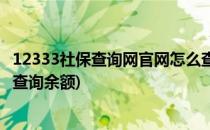 12333社保查询网官网怎么查询(12333社保查询网官网怎么查询余额)