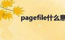 pagefile什么意思（pagefile）