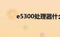 e5300处理器什么档次（e5300）