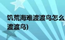 饥荒海难渡渡鸟怎么捕捉(饥荒海难如何捕捉渡渡鸟)