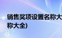 销售奖项设置名称大全(年度销售奖项设置名称大全)