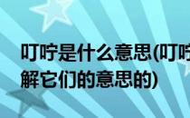 叮咛是什么意思(叮咛是什么意思你是怎么理解它们的意思的)