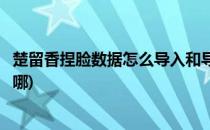 楚留香捏脸数据怎么导入和导出(楚留香新版捏脸数据导入在哪)