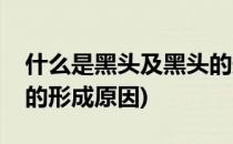 什么是黑头及黑头的形成(什么是黑头及黑头的形成原因)
