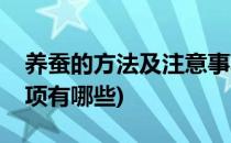 养蚕的方法及注意事项(养蚕的方法及注意事项有哪些)