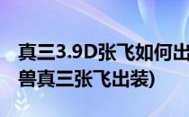 真三3.9D张飞如何出装、加点和游戏攻略(魔兽真三张飞出装)