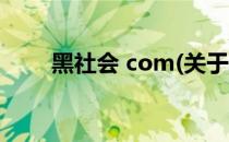 黑社会 com(关于黑社会 com简述)