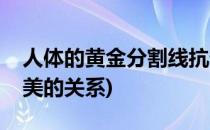 人体的黄金分割线抗衰老(黄金分割率与人体美的关系)