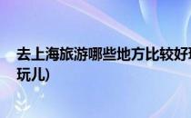 去上海旅游哪些地方比较好玩(去上海旅游,哪些地方比较好玩儿)