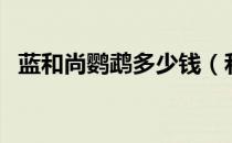 蓝和尚鹦鹉多少钱（和尚鹦鹉多少钱一只）