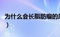 为什么会长脂肪瘤的原因（为什么会长脂肪瘤）