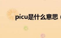 picu是什么意思（pic是什么意思）