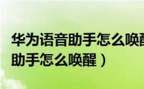 华为语音助手怎么唤醒叫什么名字（华为语音助手怎么唤醒）