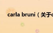 carla bruni（关于carla bruni的介绍）