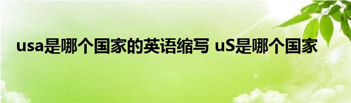 usa是哪个国家的英语缩写 uS是哪个国家