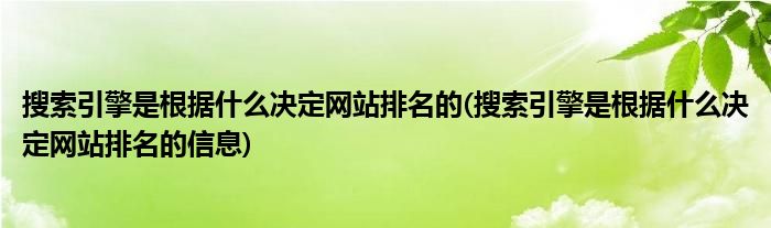 搜索引擎是根据什么决定网站排名的(搜索引擎是根据什么决定网站排名的信息)