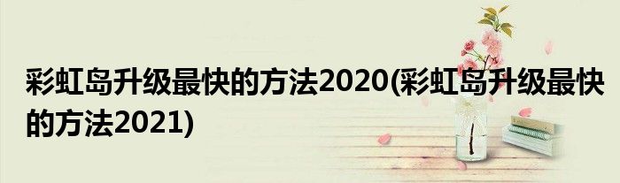 彩虹岛升级最快的方法2020(彩虹岛升级最快的方法2021)
