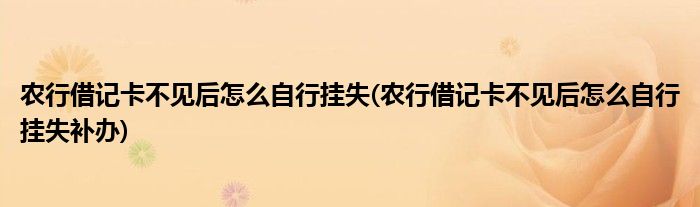 农行借记卡不见后怎么自行挂失(农行借记卡不见后怎么自行挂失补办)