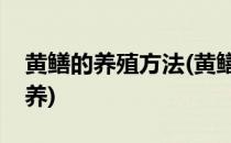 黄鳝的养殖方法(黄鳝的养殖方法黄鳝要怎么养)