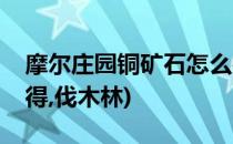 摩尔庄园铜矿石怎么得(摩尔庄园铜矿石怎么得,伐木林)