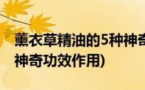 薰衣草精油的5种神奇功效(薰衣草精油的5种神奇功效作用)