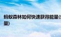 蚂蚁森林如何快速获得能量(蚂蚁森林如何快速获得能量和能量)