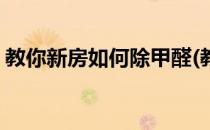 教你新房如何除甲醛(教你新房如何除甲醛呢)