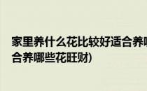 家里养什么花比较好适合养哪些花(家里养什么花比较好?适合养哪些花旺财)