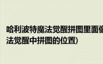 哈利波特魔法觉醒拼图里面像是在水下位置在哪(哈利波特魔法觉醒中拼图的位置)