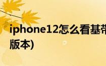 iphone12怎么看基带(iphone12怎么看基带版本)