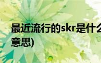 最近流行的skr是什么意思(流行用语skr什么意思)