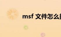 msf 文件怎么打开(Msf文件)