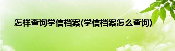 怎样查询学信档案(学信档案怎么查询)