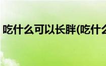吃什么可以长胖(吃什么可以长胖最快的速度)
