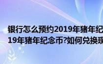 银行怎么预约2019年猪年纪念币如何兑换(银行怎么预约2019年猪年纪念币?如何兑换现金)