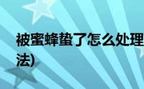 被蜜蜂蛰了怎么处理(被蜜蜂蛰了怎么处理方法)