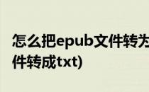 怎么把epub文件转为txt文件(怎么把epub文件转成txt)