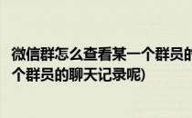微信群怎么查看某一个群员的聊天记录(微信群怎么查看某一个群员的聊天记录呢)
