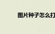 图片种子怎么打开(种子咋打开)