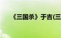 《三国杀》于吉(三国杀于吉缠怨技能)