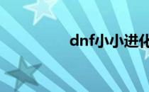 dnf小小进化号怎么获得