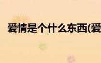 爱情是个什么东西(爱情是个什么东西歌词)