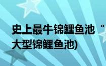 史上最牛锦鲤鱼池“大爆炸”美到让你窒息(大型锦鲤鱼池)
