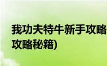 我功夫特牛新手攻略新手怎么玩(我功夫特牛攻略秘籍)