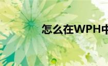 怎么在WPH中找到WP客服