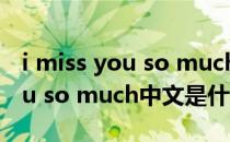 i miss you so much 翻译成中文(I miss you so much中文是什么意思)